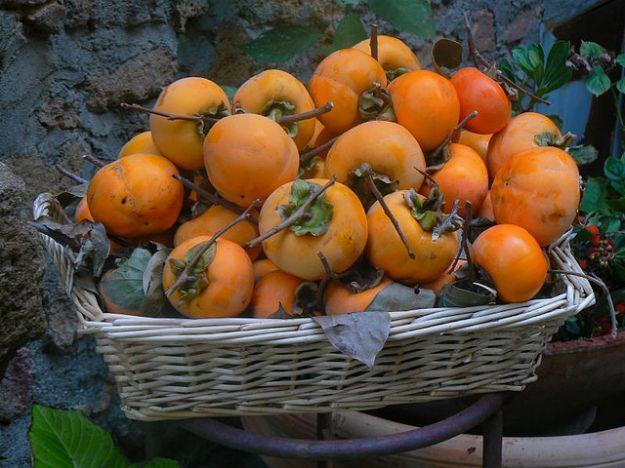 Marmellata di cachi con il Bimby