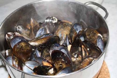 cozze aperte