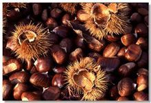 castagne