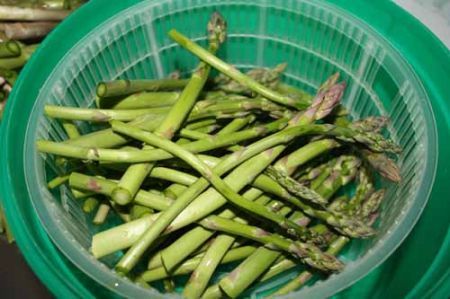 asparagi