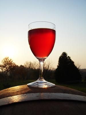 bicchiere di vino - guida vini slow food