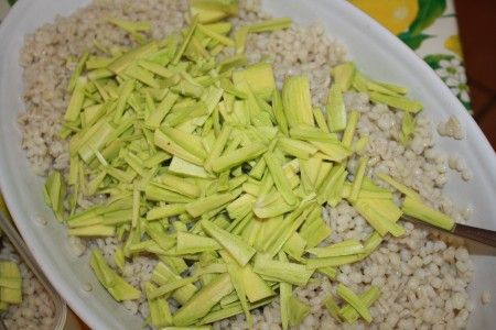 insalata fredda orzo 01