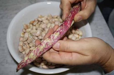 pasta e fagioli leggera