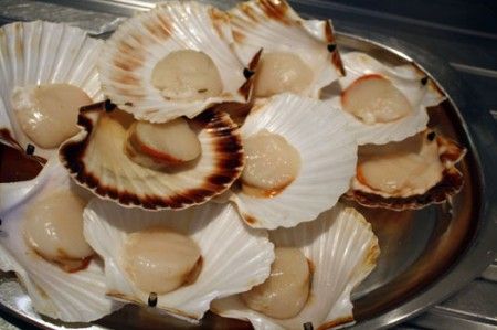 piatto pesce venere 00