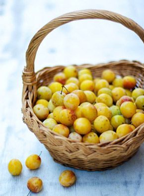 prugne gialle per il maiale