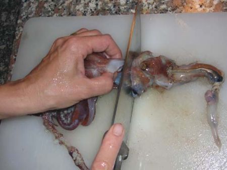Separate i tentacoli