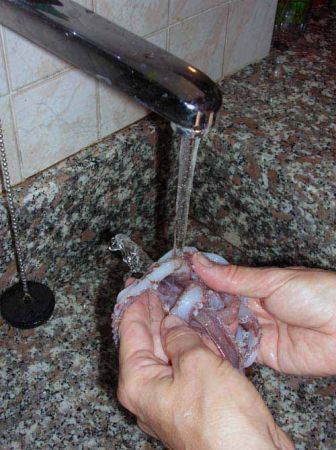 Sciacquate i tentacoli