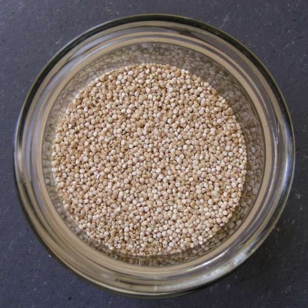 quinoa