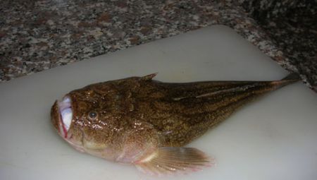 pesce prete