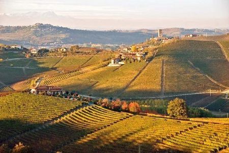 terre del vino barbaresco in Piemonte