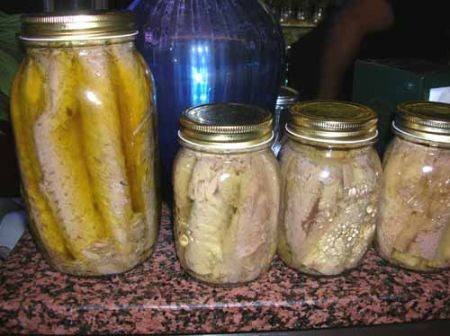 tonno sott’olio casalingo