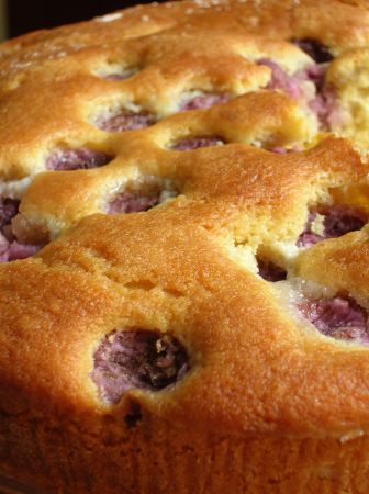 torta della vendemmia o torta con unva