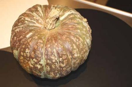 torta salata di zucca