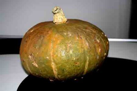 torta dolce di zucca