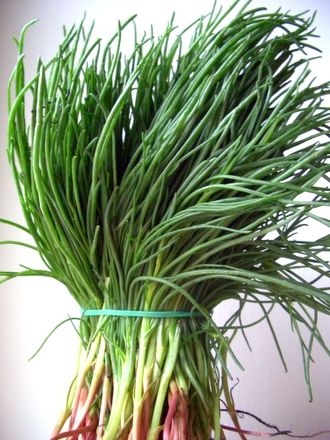 agretti o barba di frate capperi acciughe