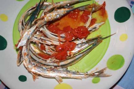 pesce azzurro pomodoro