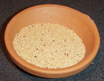 amaranto finto cereale