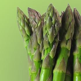 asparagi salsa arancia