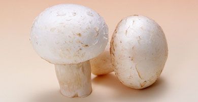 champignon spiedini