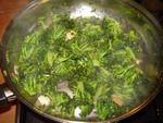 broccoli cotti