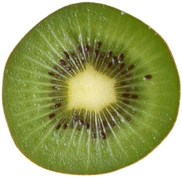 fetta di kiwi