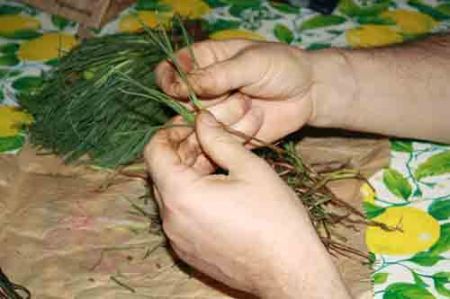 frittata di agretti o barba di frate