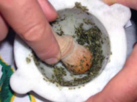 pestate l’aglio e la maggiorana