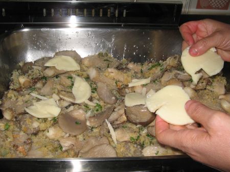 galbanino
