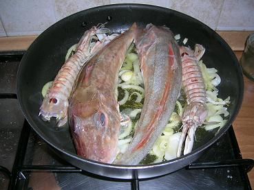 gallinella di mare con cicale