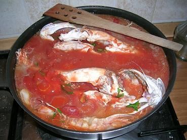 gallinella di mare e pomodori pelati