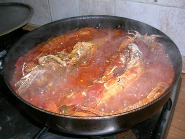 gallinella di mare in cottura