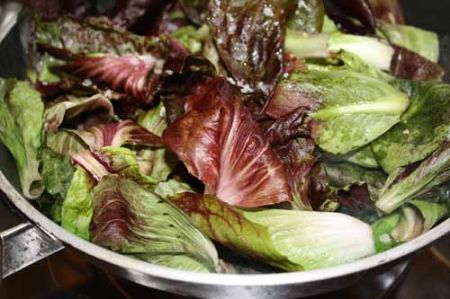 gettate l’insalata in padella