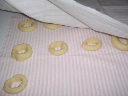 lievitare taralli