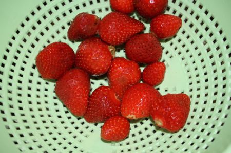 mousse di caprino e fragole