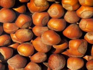 nocciole