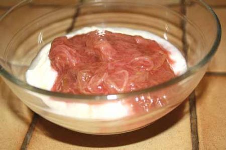 composta di rabarbaro e yogurt