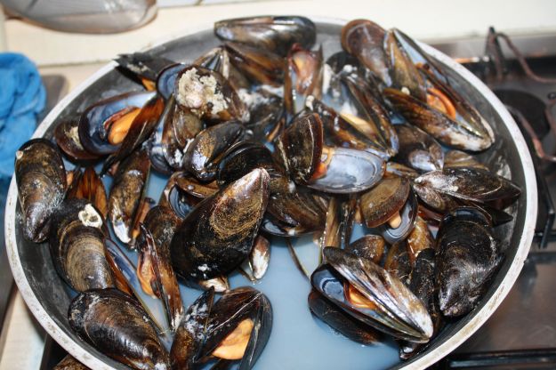 ricetta zuppa di pesce 01