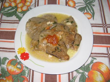 risultato funghi