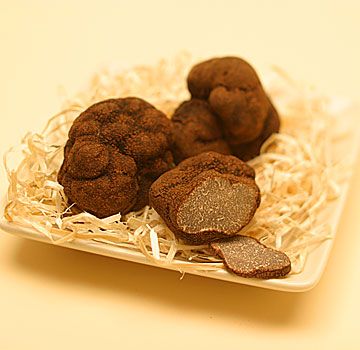 tartufo nero