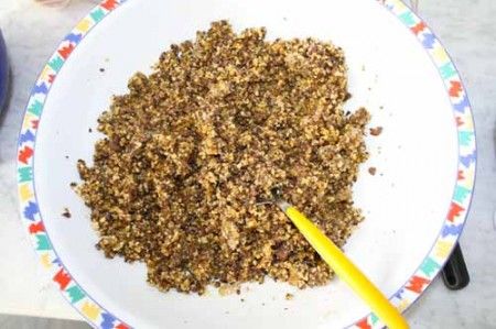 torta di noci artusi 01