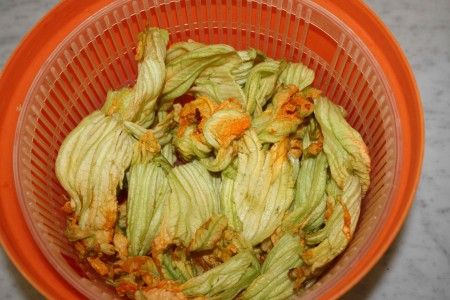 torta salata fiori di zucca 01