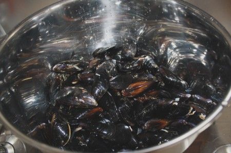 zuppetta di cozze 00
