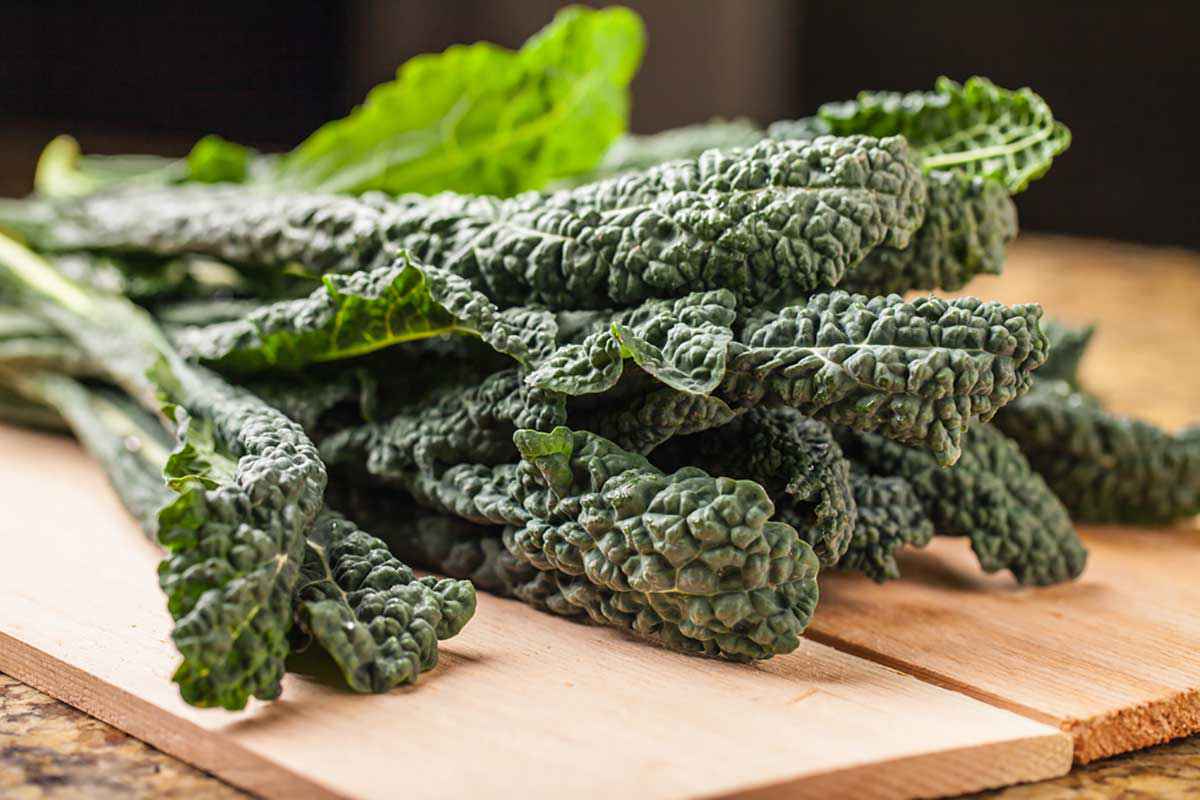 Come cucinare il cavolo nero