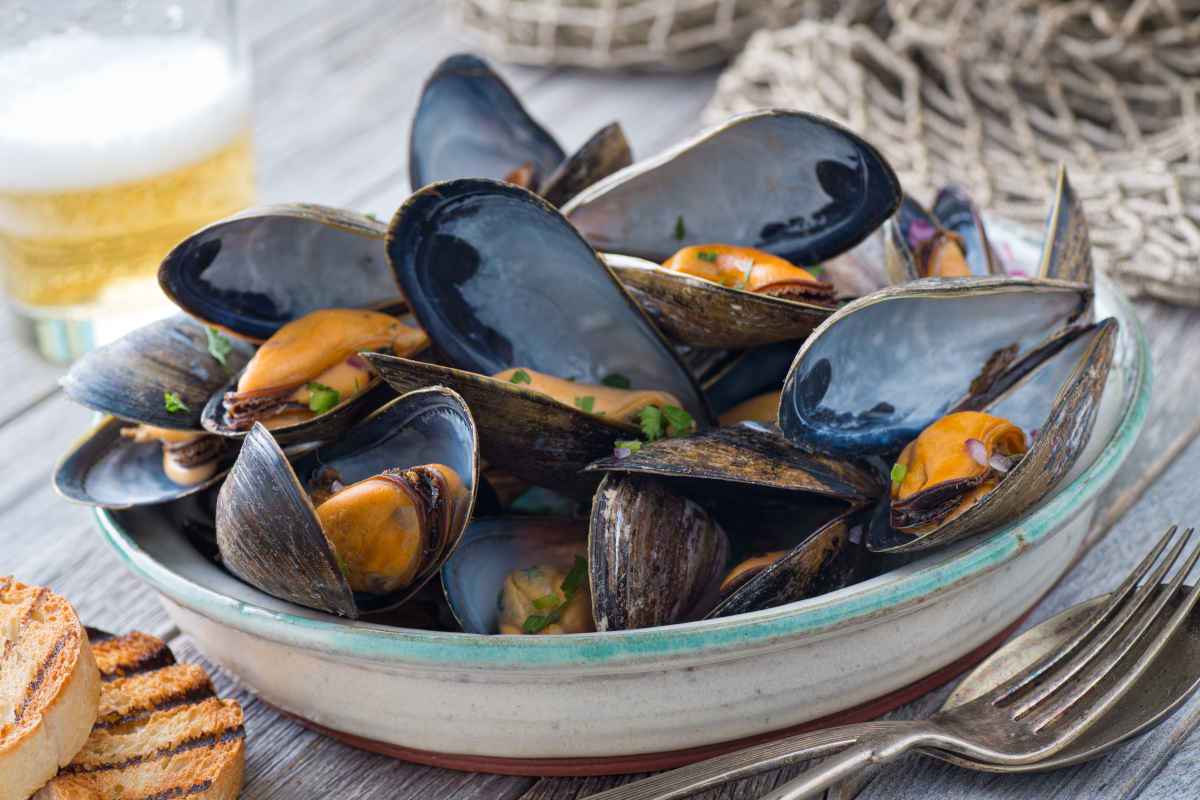 come cucinare le cozze impepata alla birra