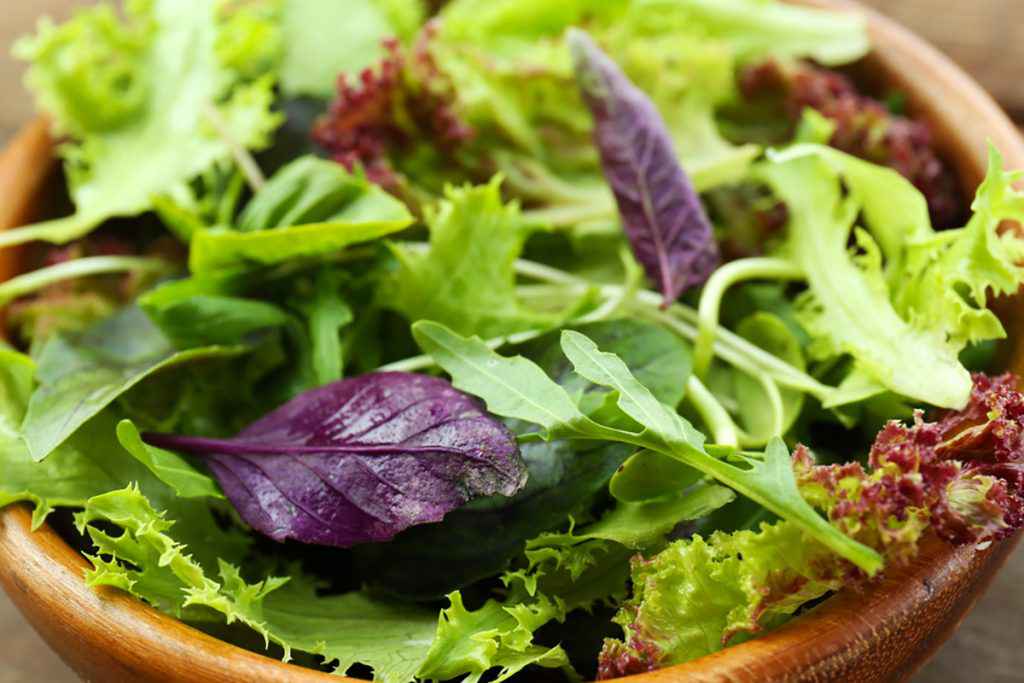 Insalata croccante per il pranzo di ferragosto