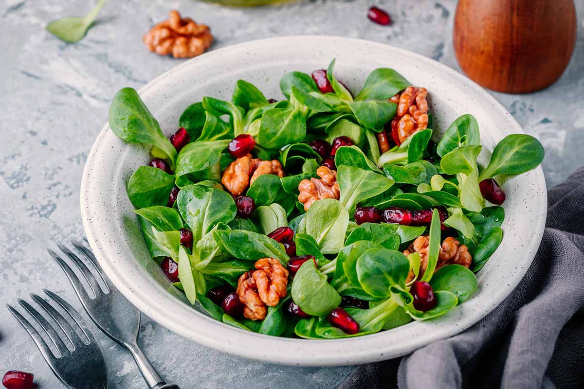 Scodella bianca con all'interno un'insalata natalizia