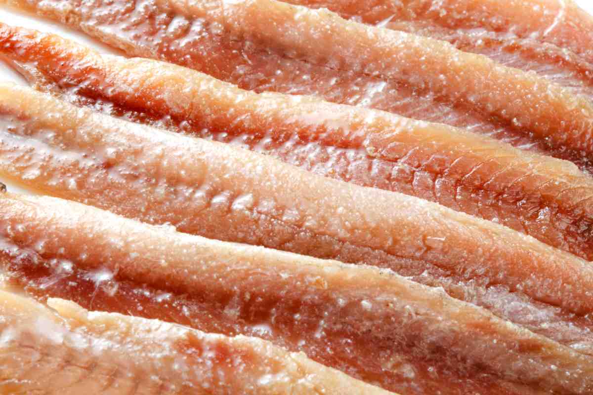 Filetti di acciughe sotto sale in un piatto
