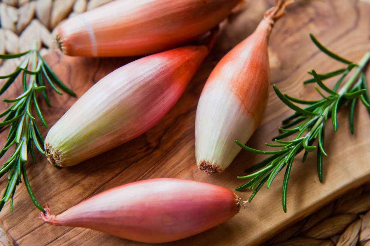 Scalogno: che cos’è, le caratteristiche e come usarlo in cucina