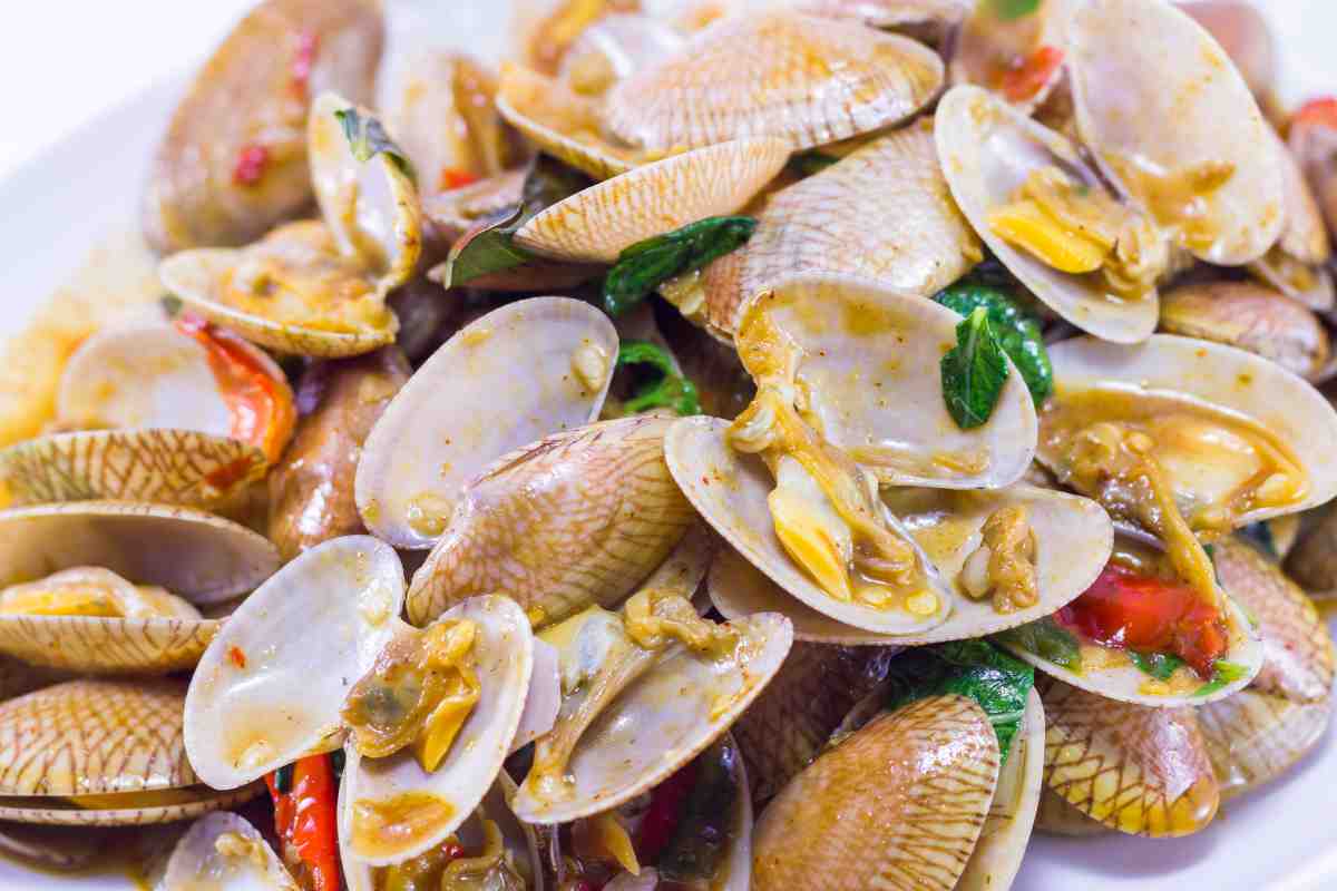 vongole aperte e condite in un piatto