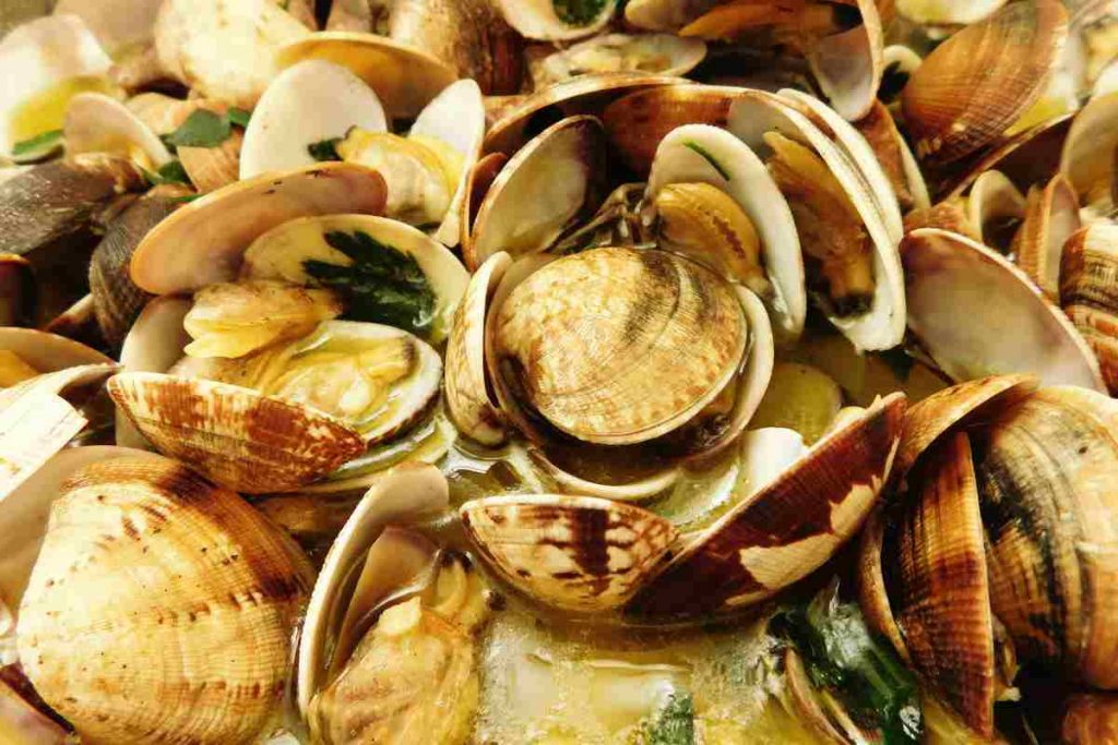 vongole aperte in un piatto viste da vicino